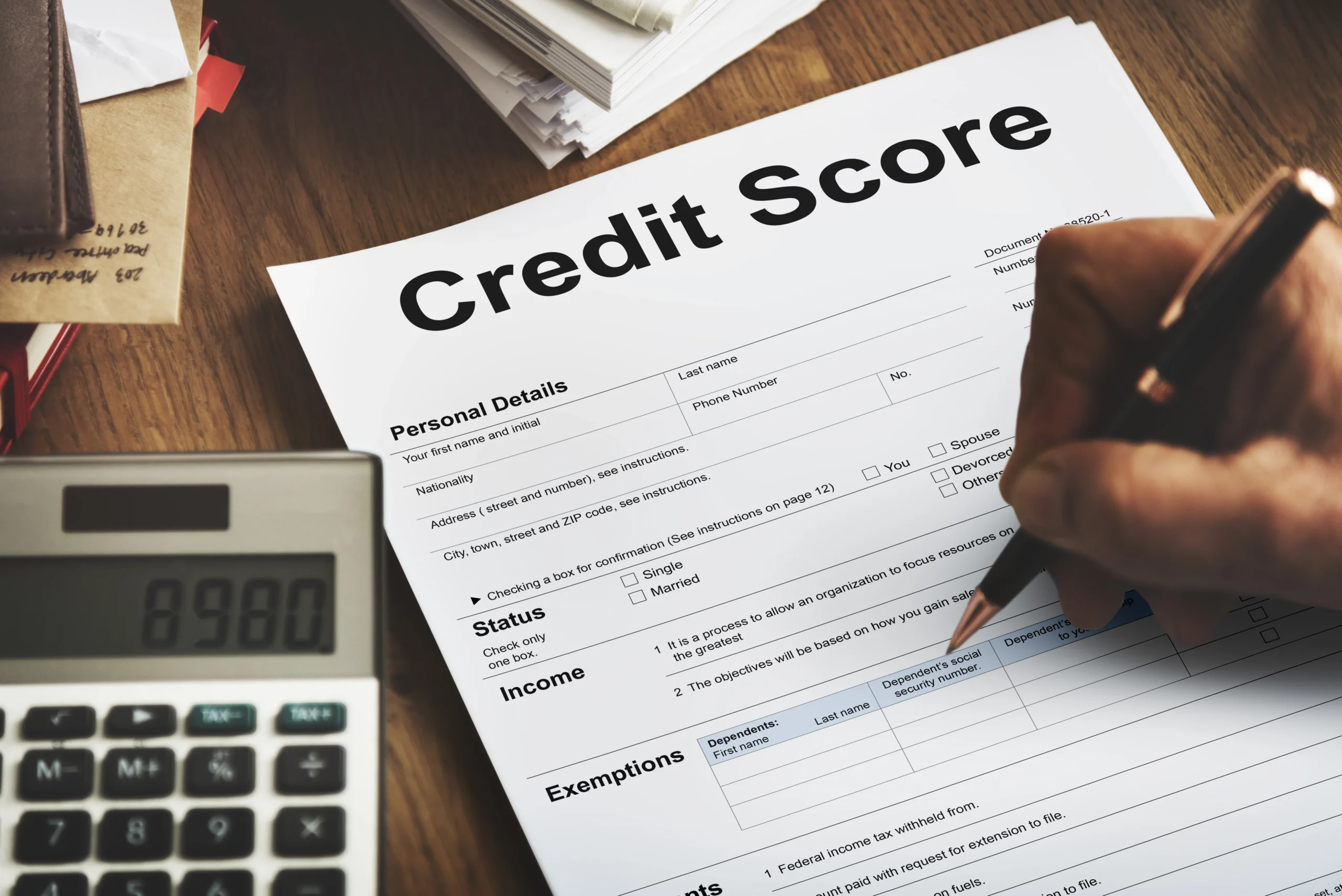 CREDIT SCORE CHECK